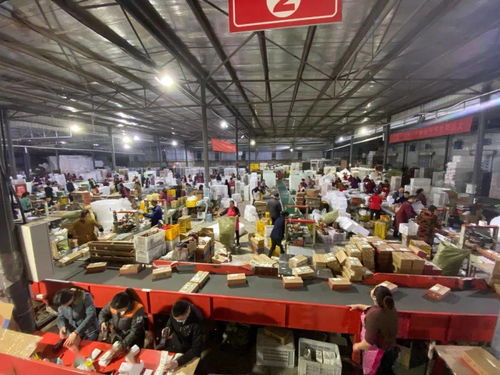 天貓雙11點亮蒲江 水果客服的千人咨詢戰(zhàn)役